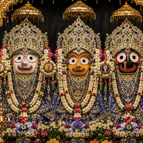 Vastrabharana Seva