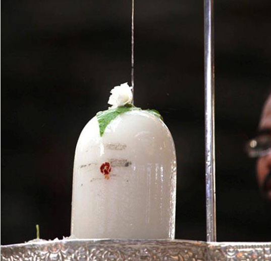 Paroksha Seva — Rudra Homam | Sri Kalahastheeswara Temple