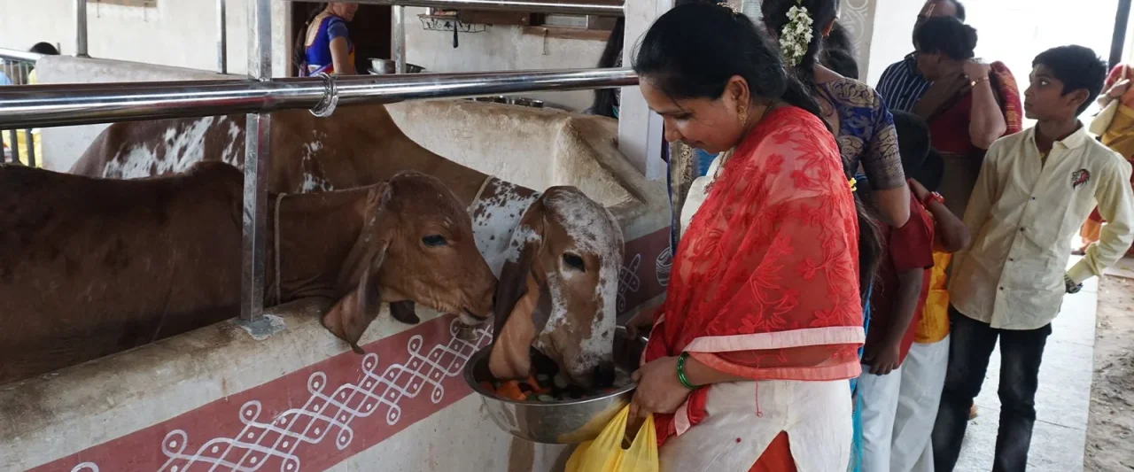 Gau Seva