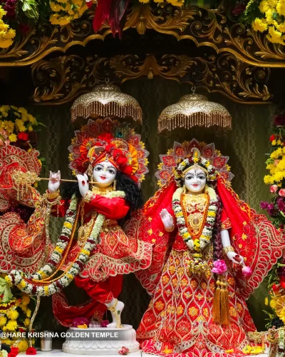 Daily Darshan - 13th DEC 2025 ( Saturday )