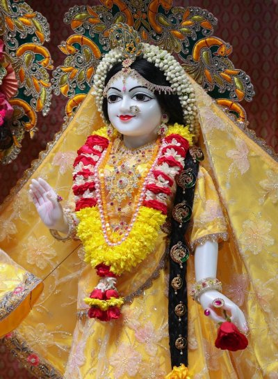 Daily Darshan - 17th DEC 2025 ( Wednesday )