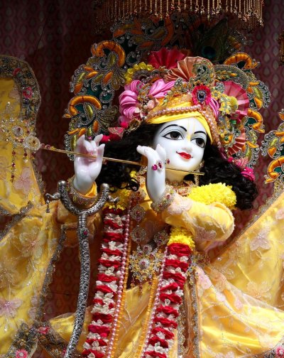 WhatsApp Image 2025-12-17 at 12.08.49 PM (2)