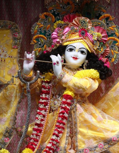 WhatsApp Image 2025-12-17 at 12.08.48 PM (1)