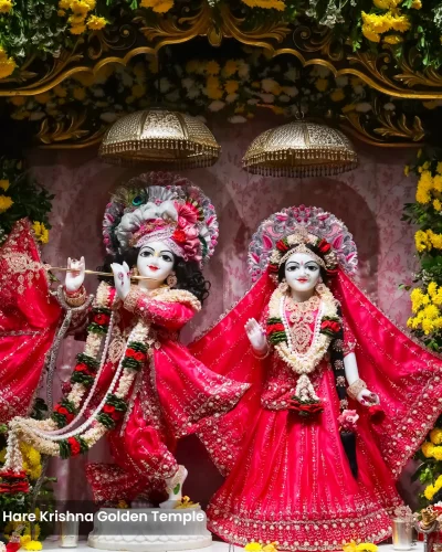 Daily Darshan - 31st  DEC 2025 (Tuesday )