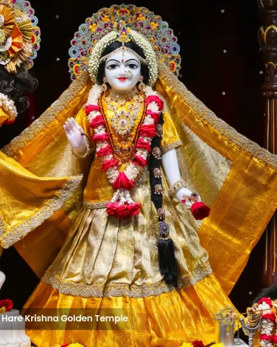 WhatsApp Image 2026-01-28 at 10.48.06 AM (1)