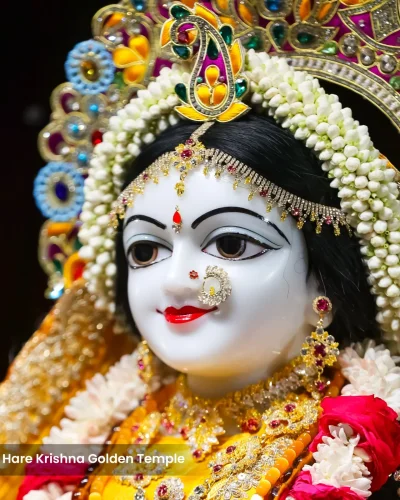 WhatsApp Image 2026-01-28 at 10.48.06 AM (2)