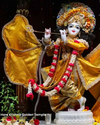 WhatsApp Image 2026-01-28 at 10.48.06 AM (3)