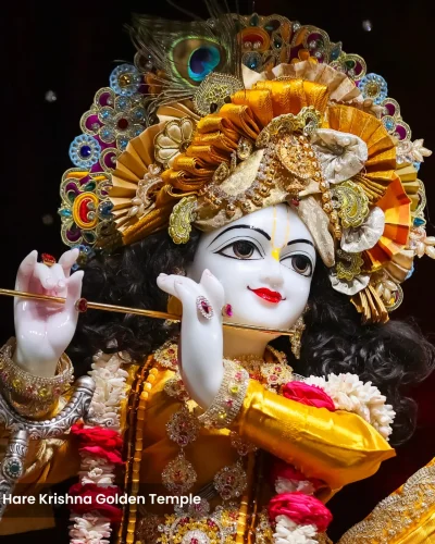 WhatsApp Image 2026-01-28 at 10.48.07 AM (2)