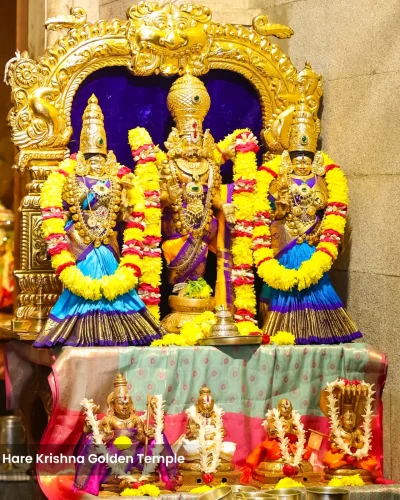 WhatsApp Image 2026-01-28 at 10.48.09 AM (2)