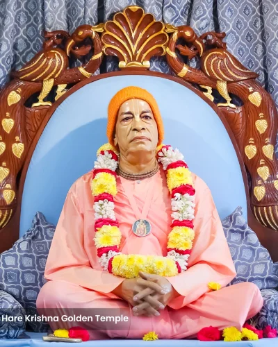 WhatsApp Image 2026-01-28 at 10.48.11 AM (2)