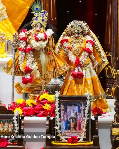 WhatsApp Image 2026-01-28 at 10.48.08 AM (2)