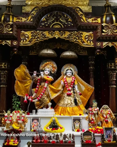 WhatsApp Image 2026-01-28 at 10.48.09 AM (1)