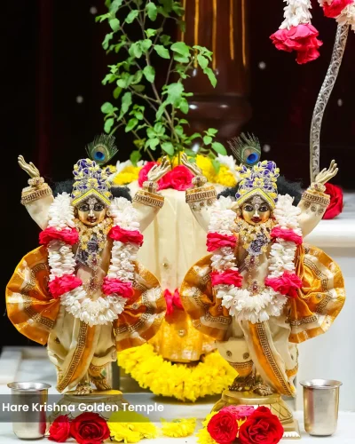 WhatsApp Image 2026-01-28 at 10.48.09 AM