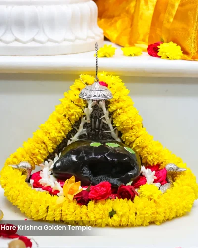 WhatsApp Image 2026-01-28 at 10.48.10 AM (2)