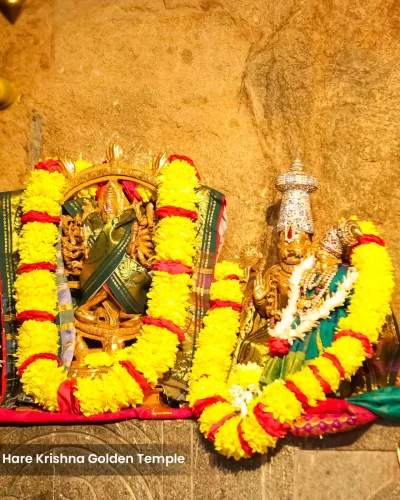 WhatsApp Image 2026-01-28 at 10.48.10 AM