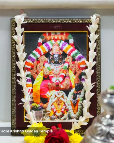 WhatsApp Image 2026-01-28 at 10.48.11 AM (1)