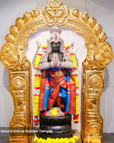 WhatsApp Image 2026-01-28 at 10.48.11 AM (3)