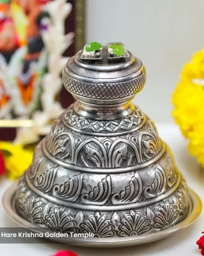 WhatsApp Image 2026-01-28 at 10.48.11 AM