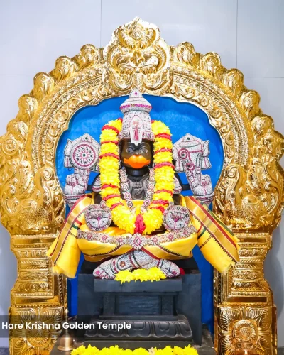 WhatsApp Image 2026-01-28 at 10.48.12 AM