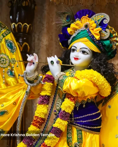 WhatsApp Image 2026-02-02 at 11.59.11 AM