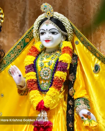 WhatsApp Image 2026-02-02 at 11.59.11 AM (1)