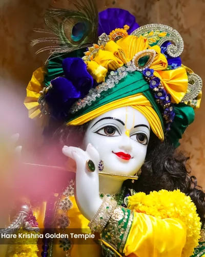 WhatsApp Image 2026-02-02 at 11.59.12 AM