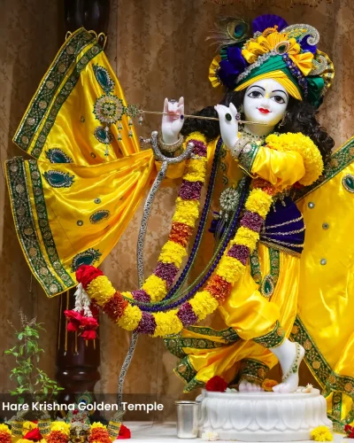 WhatsApp Image 2026-02-02 at 11.59.10 AM (1)