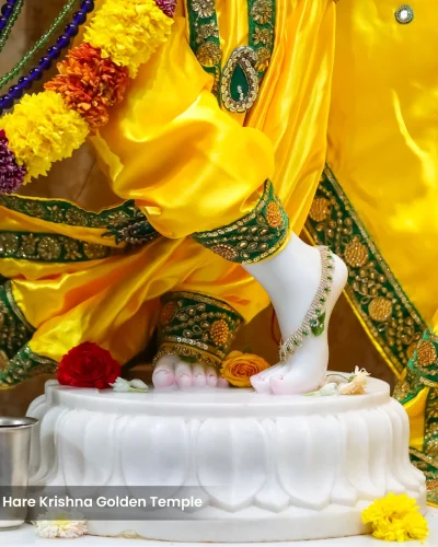 WhatsApp Image 2026-02-02 at 11.59.13 AM (1)