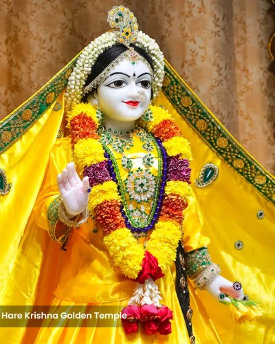 WhatsApp Image 2026-02-02 at 11.59.13 AM