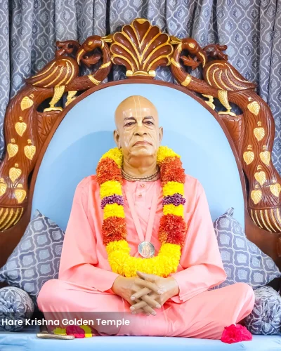 WhatsApp Image 2026-02-02 at 11.59.17 AM (1)