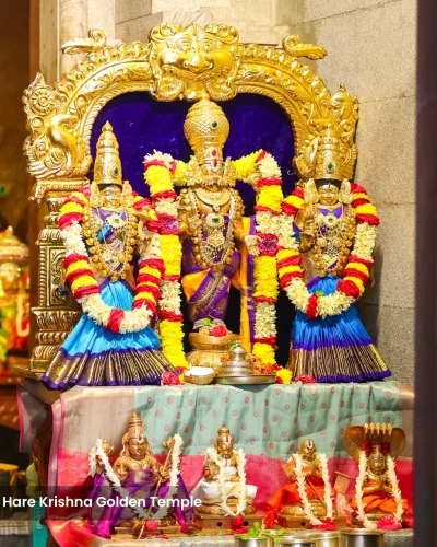 WhatsApp Image 2026-02-02 at 11.59.17 AM