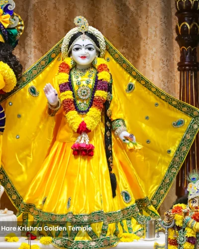 WhatsApp Image 2026-02-02 at 11.59.10 AM