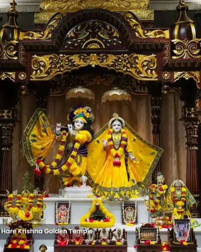 WhatsApp Image 2026-02-02 at 11.59.15 AM (1)