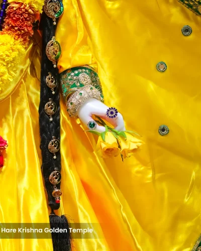 WhatsApp Image 2026-02-02 at 11.59.14 AM