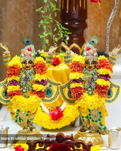 WhatsApp Image 2026-02-02 at 11.59.14 AM (1)