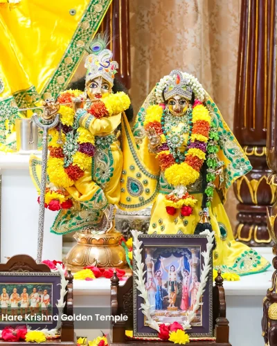 WhatsApp Image 2026-02-02 at 11.59.15 AM