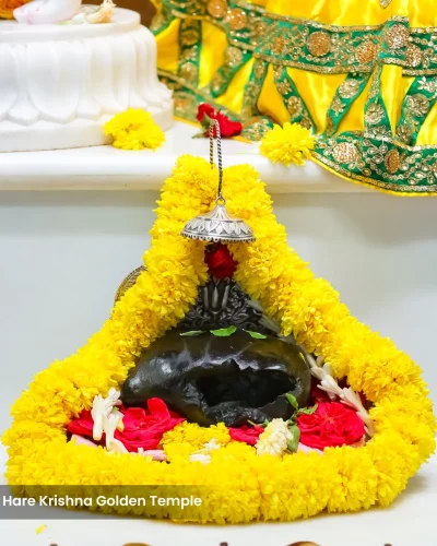 WhatsApp Image 2026-02-02 at 11.59.16 AM (1)