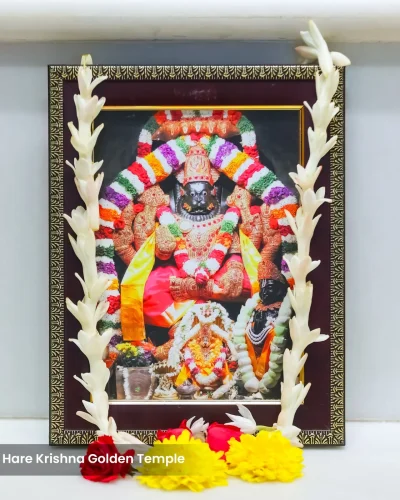 WhatsApp Image 2026-02-02 at 11.59.16 AM (2)