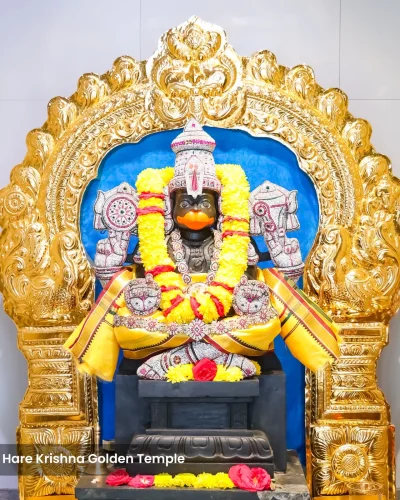 WhatsApp Image 2026-02-02 at 11.59.19 AM