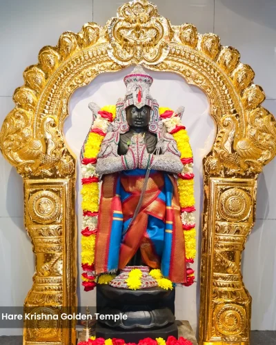 WhatsApp Image 2026-02-02 at 11.59.18 AM