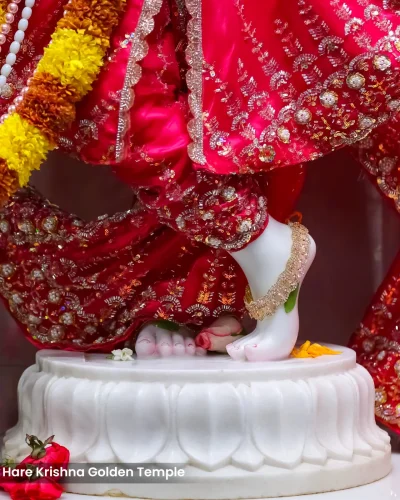 WhatsApp Image 2026-03-05 at 5.15.48 PM (1)