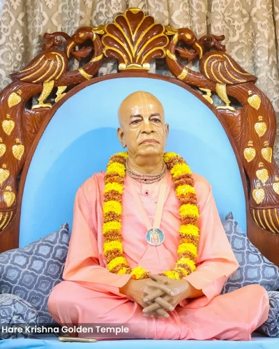 WhatsApp Image 2026-03-05 at 5.15.49 PM (2)