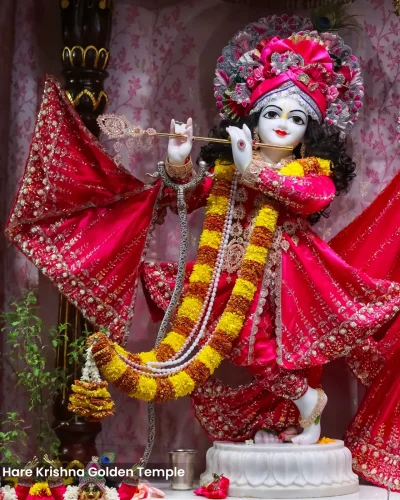 WhatsApp Image 2026-03-05 at 5.15.47 PM (1)