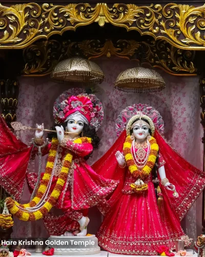 WhatsApp Image 2026-03-05 at 5.15.46 PM