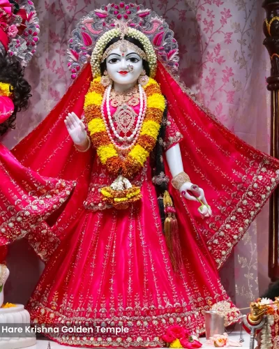 WhatsApp Image 2026-03-05 at 5.15.47 PM