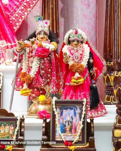 WhatsApp Image 2026-03-05 at 5.15.49 PM