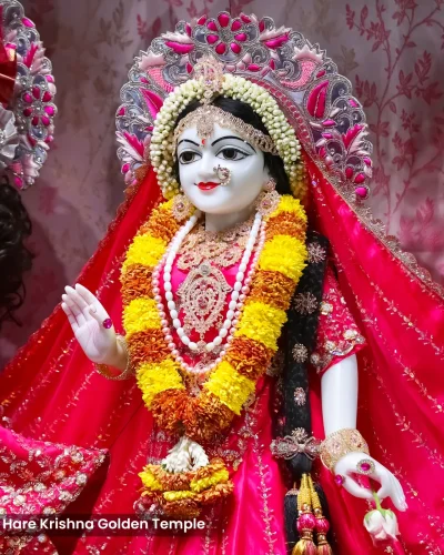 WhatsApp Image 2026-03-05 at 5.15.47 PM (2)