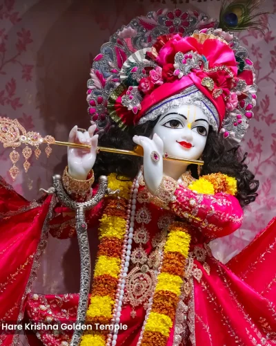 WhatsApp Image 2026-03-05 at 5.15.48 PM