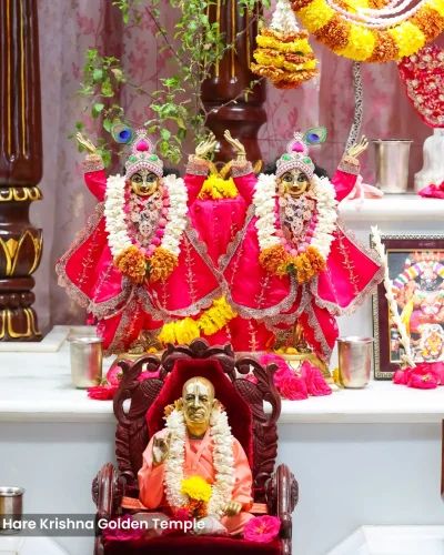 WhatsApp Image 2026-03-05 at 5.15.49 PM (1)