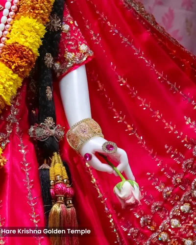 WhatsApp Image 2026-03-05 at 5.15.48 PM (2)